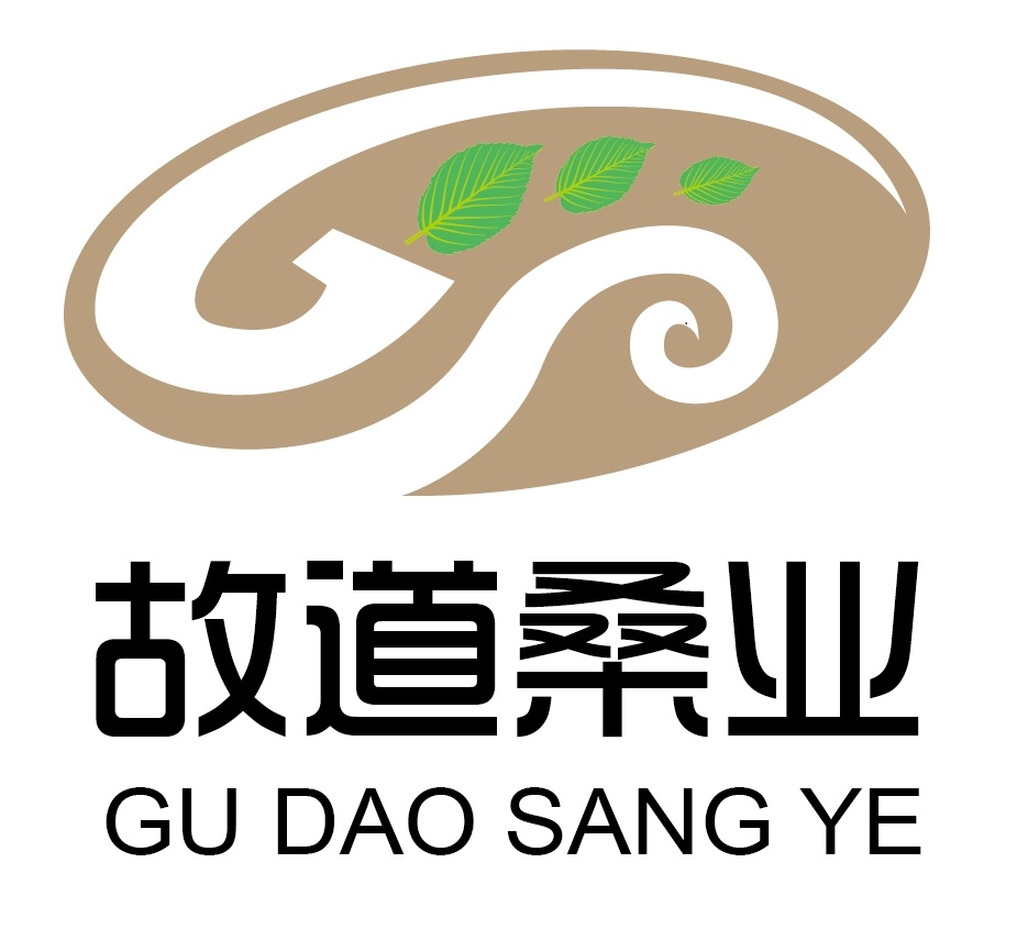 喝茶就可以防脫生發(fā)，太神奇了！桑葉養(yǎng)生茶