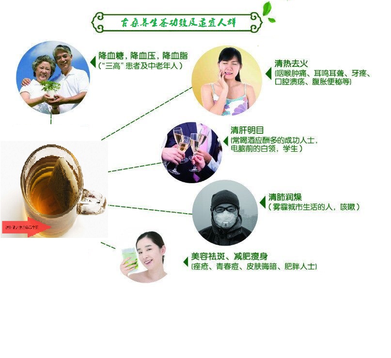 桑葉茶，營養(yǎng)長壽健康之茶